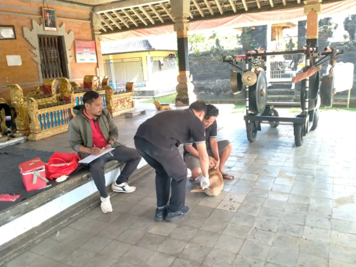 KEGIATAN VAKSIN RABIES DI BANJAR DINAS SUSUT